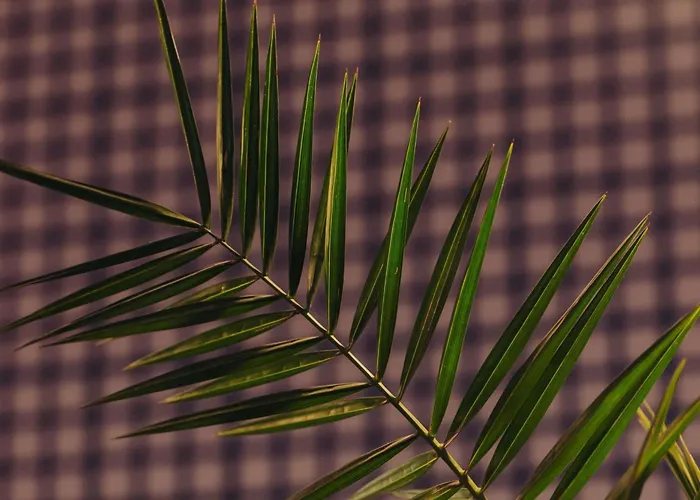 Hôtel accueillant les animaux: Ibis Wien Mariahilf